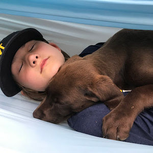 Meet your Posher, Abby